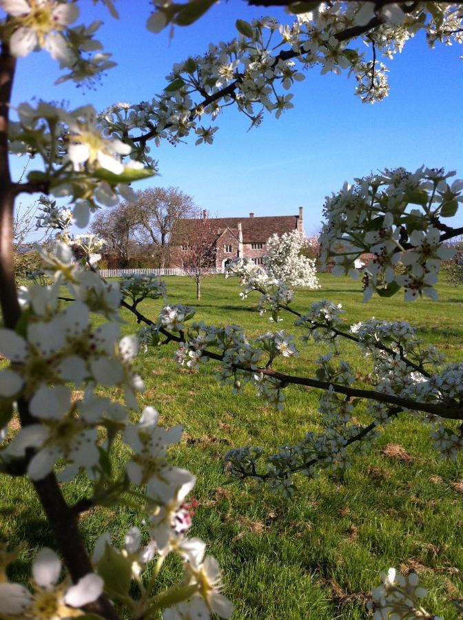 Seymours Court Bed & Breakfast Beckington Eksteriør bilde