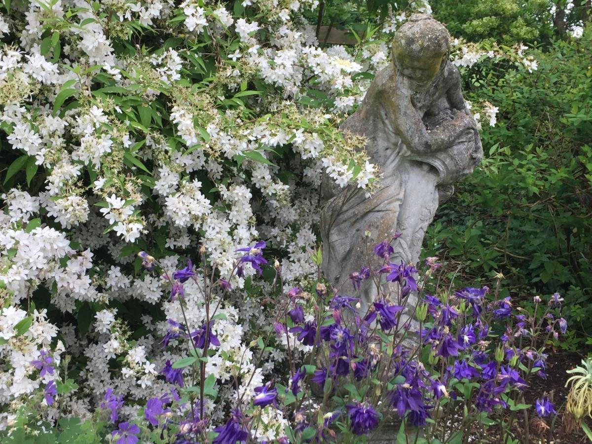 Seymours Court Bed & Breakfast Beckington Eksteriør bilde